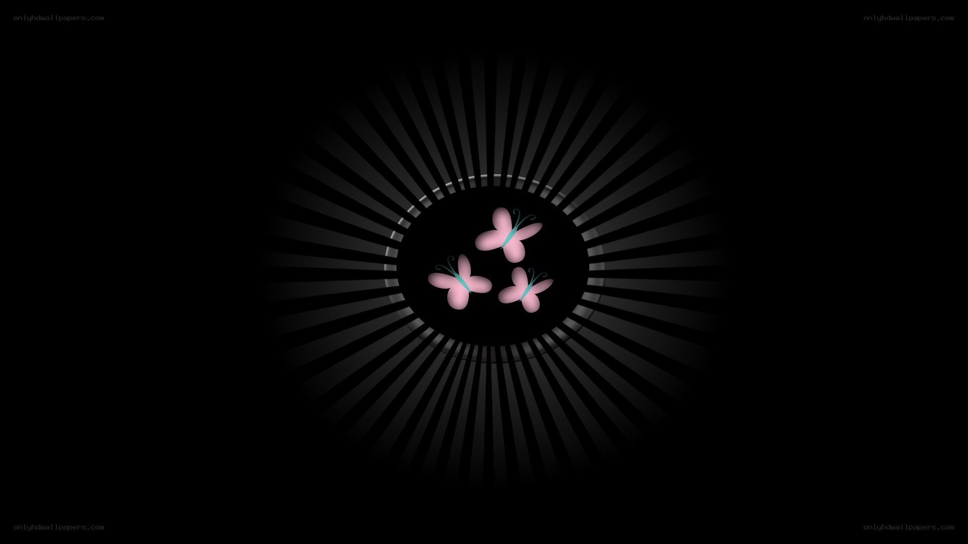 three pink butterflies on black