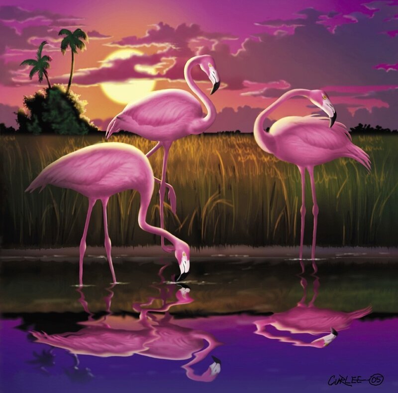 Three Pink Flamingos