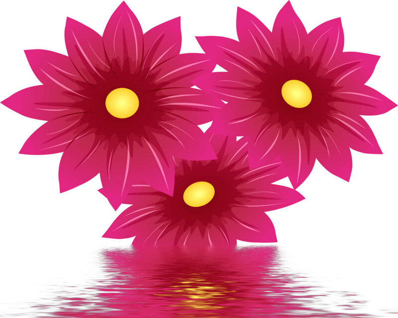 Three Pink Flowers — Calm, Vector Art