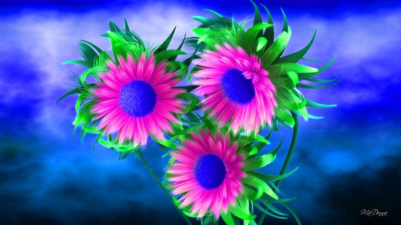 Three Pink Flowers — Vibrant