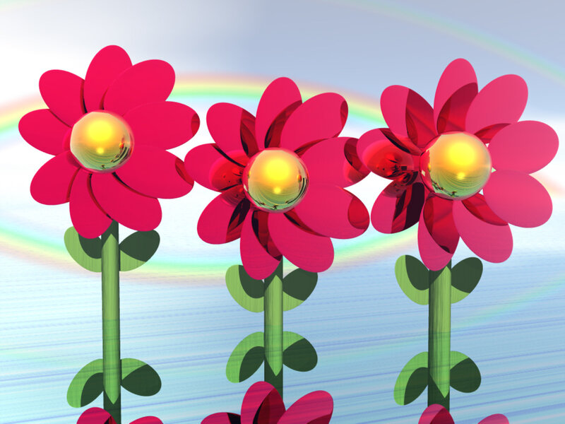 Three pink flowers with rainbow