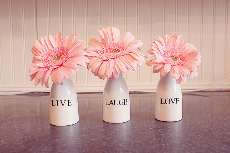 Three Pink Gerbera Daisies — Calm