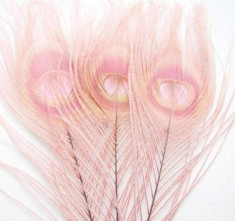 Three Pink Peacock Feathers
