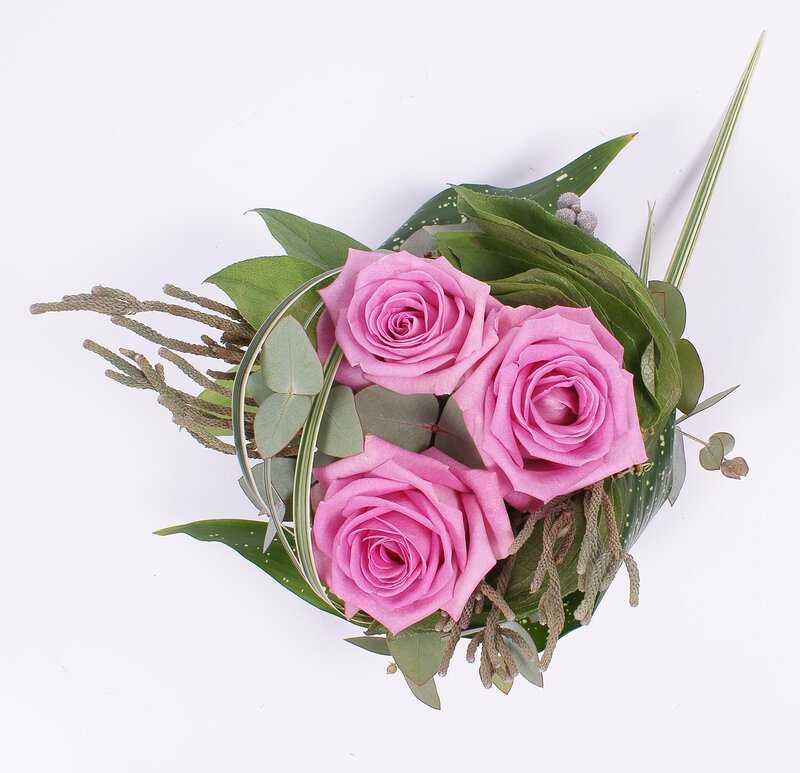 Three Pink Roses — Calm, Photograph, Green Leaves, Eucalyptus