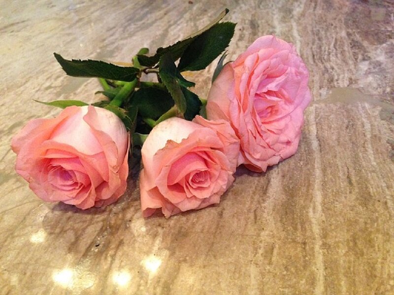 Three Pink Roses — Calm, Photograph, Green Leaves, Marble Surface