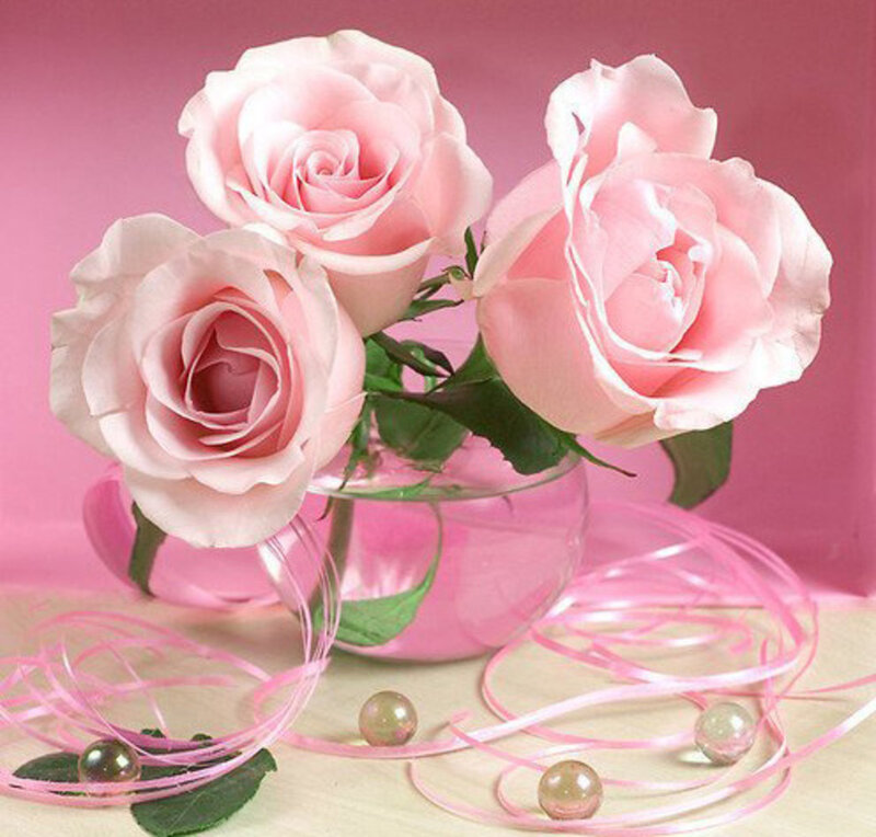 Three Pink Roses — Calm, Photograph, Vase, Ribbons