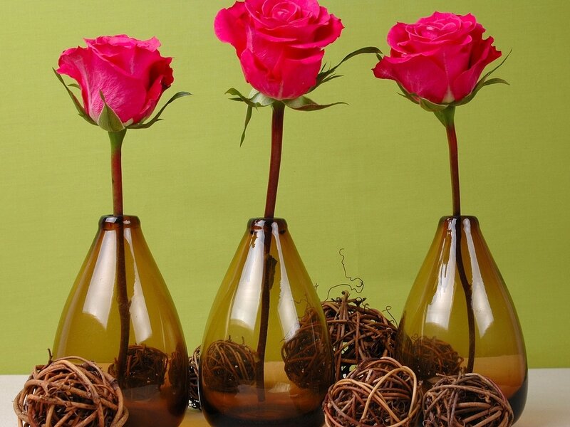 Three Pink Roses — Calm, Photograph, Vases