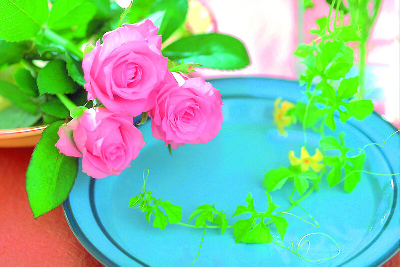 Three Pink Roses — Calm