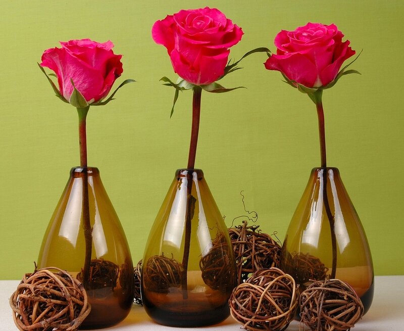 Three Pink Roses in Vases