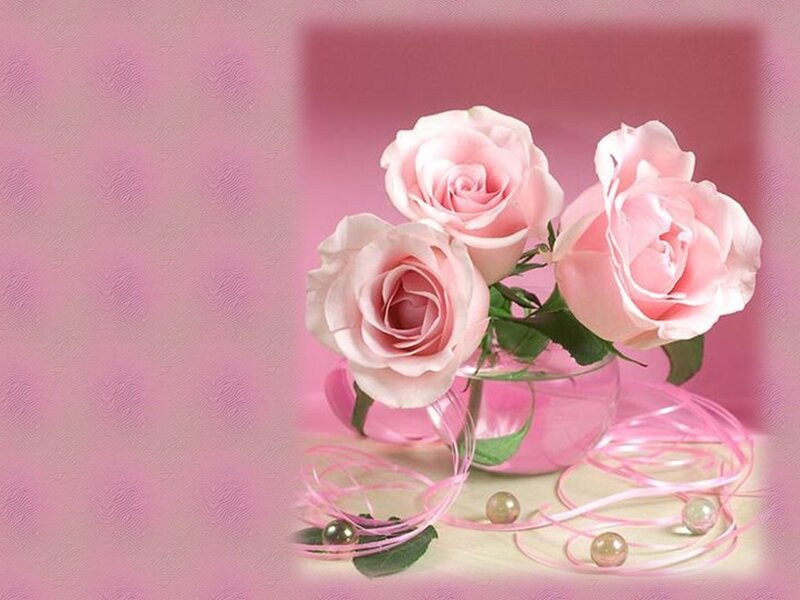 Three Pink Roses — Romantic