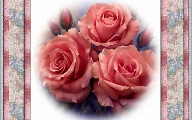 Three Pink Roses — Serene, Digital Art, Buds