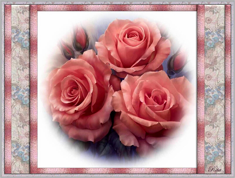Three Pink Roses — Serene, Digital Art