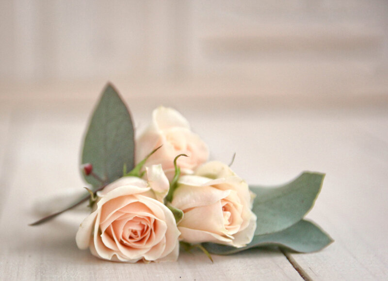 Three Pink Roses — Serene, Photograph, Eucalyptus Leaves