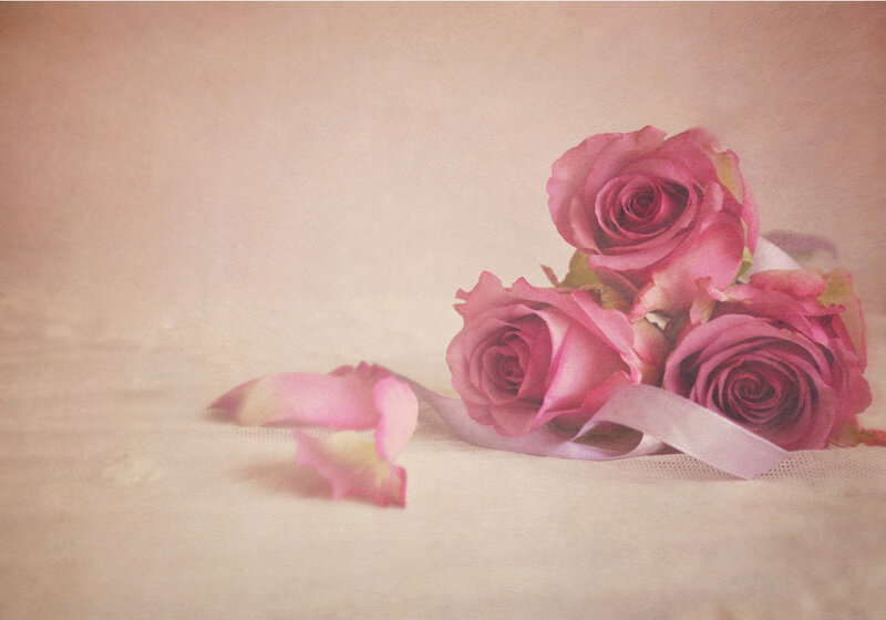 Three Pink Roses — Serene, Photograph, Petals, Ribbon