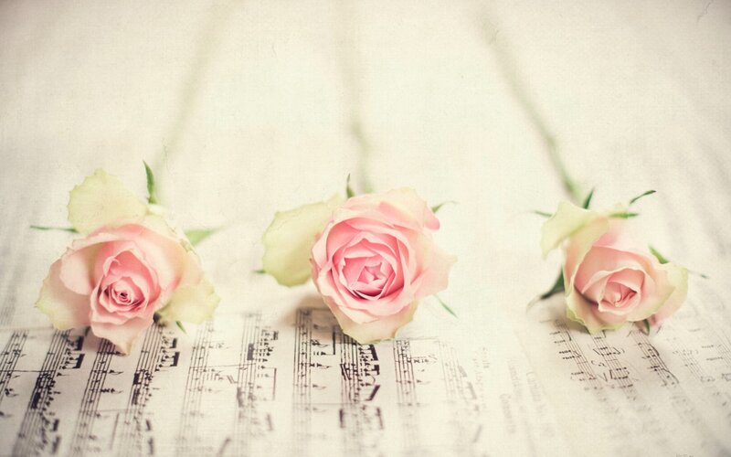 Three Pink Roses — Serene, Photograph, Sheet Music