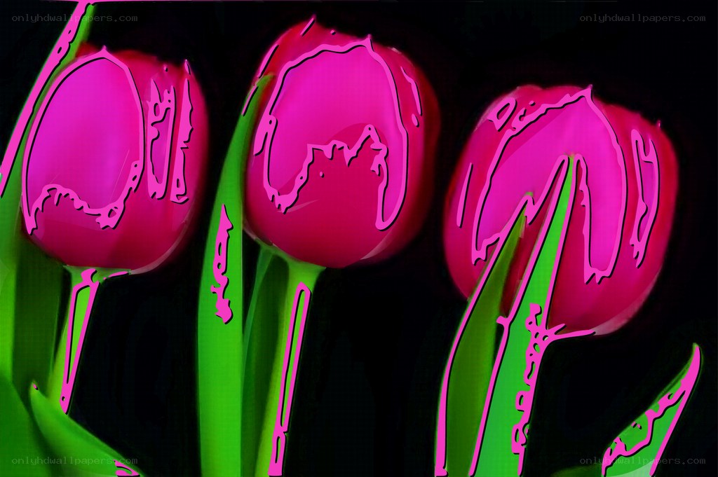 Three pink tulips with green stems