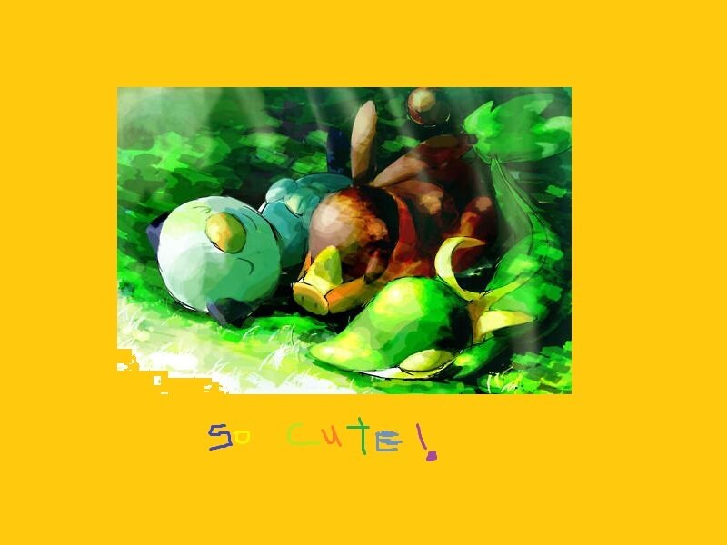 Three Pokémon Sleeping
