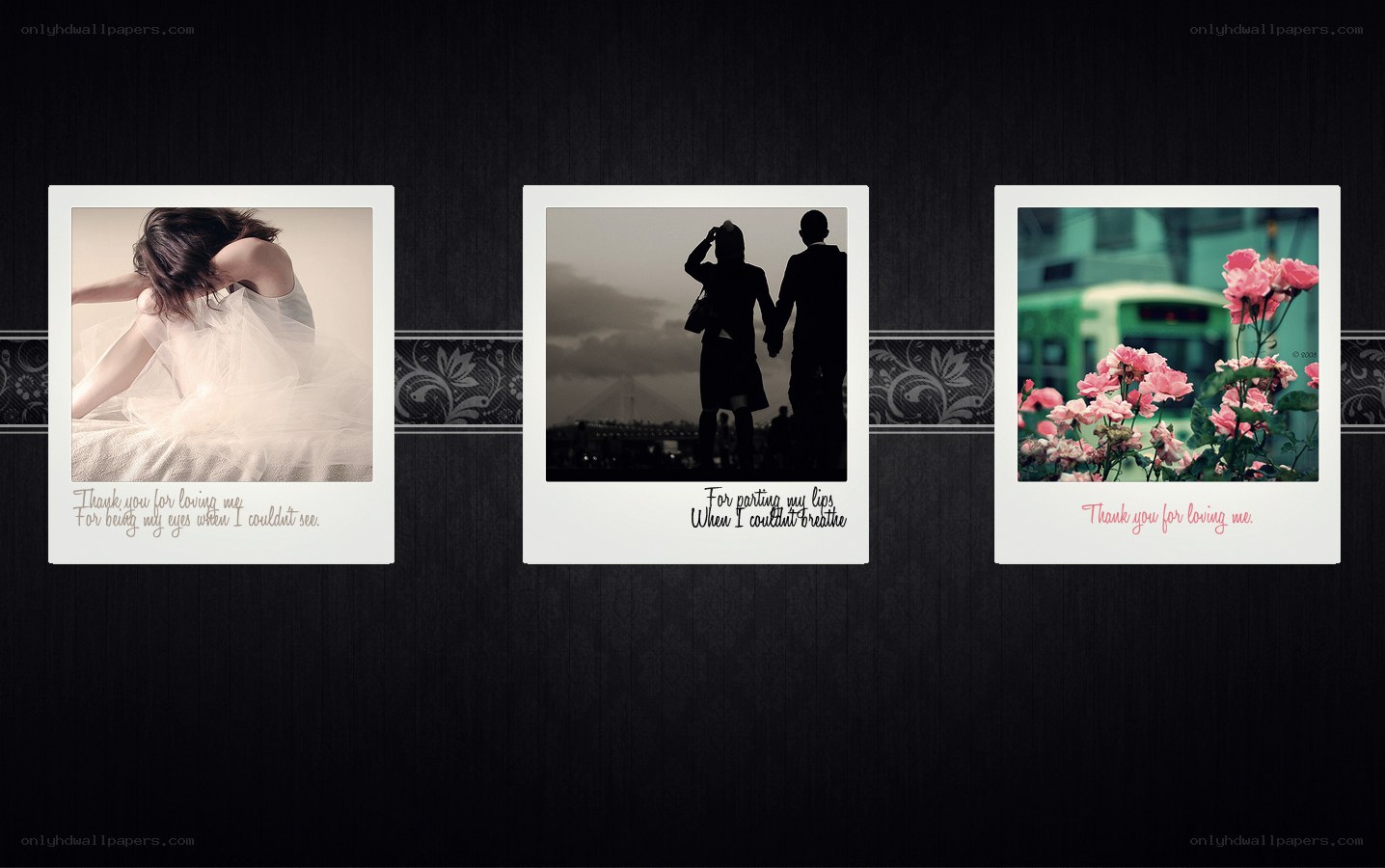 three polaroid photos with quotes