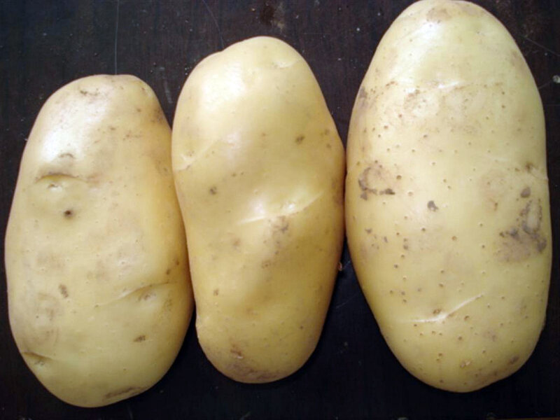 three potatoes on a dark surface