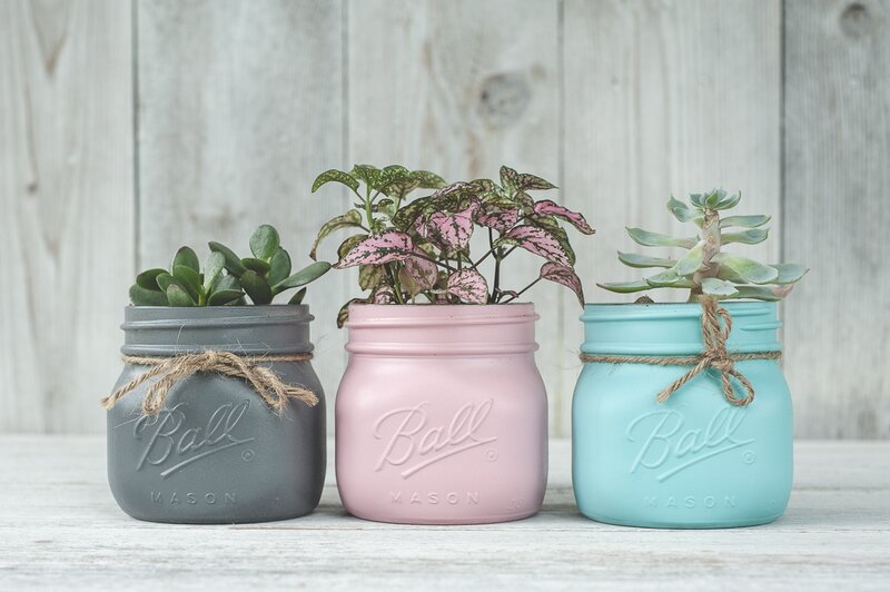 Three Potted Plants — Gray