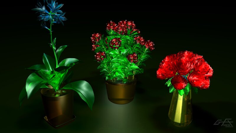 Three Potted Plants