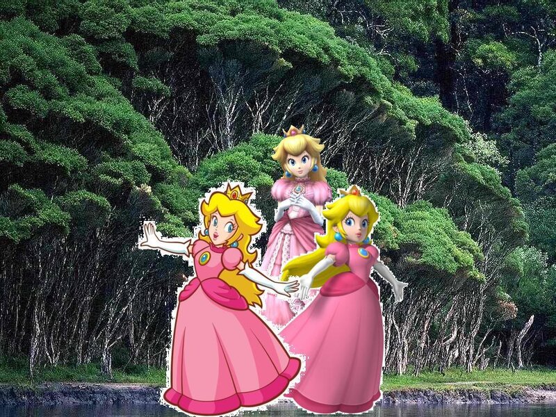 Three Princess Peach Characters