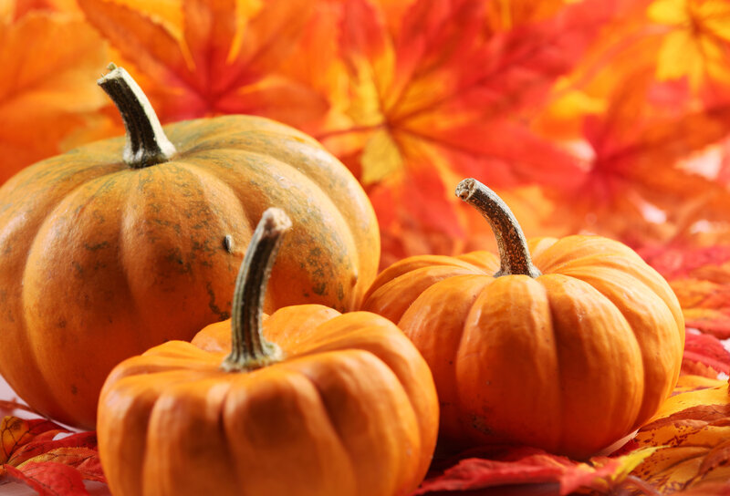 Three Pumpkins on Leaves