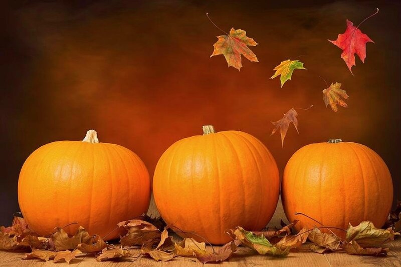 Three Pumpkins with Leaves
