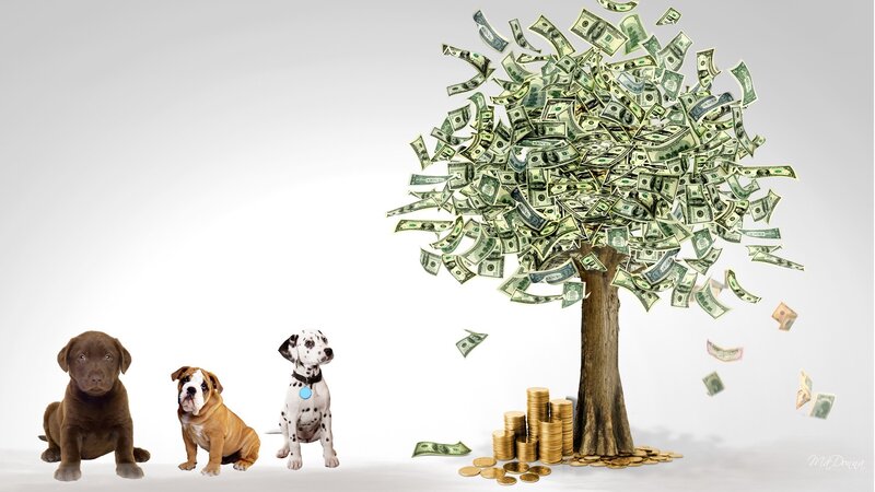 Three Puppies and Money Tree