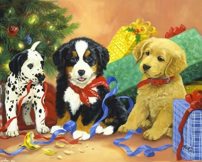 Three Puppies at Christmas