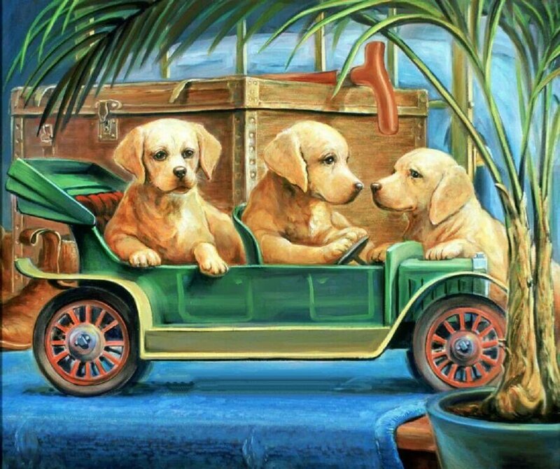 Three Puppies in Car
