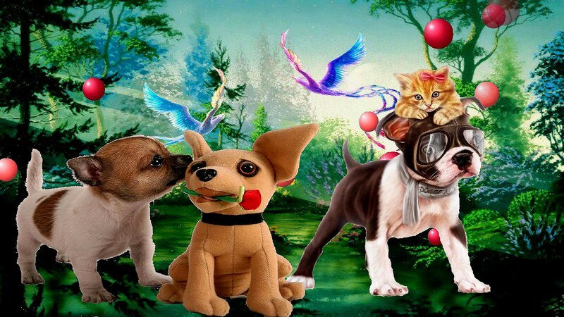 Three Puppies in Forest