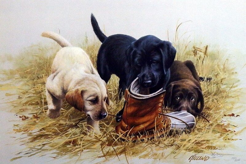 Three Puppies in Grass — Brown