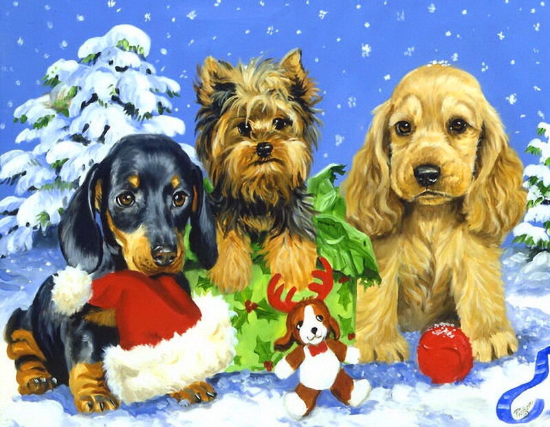 Three Puppies in Snow — Blue