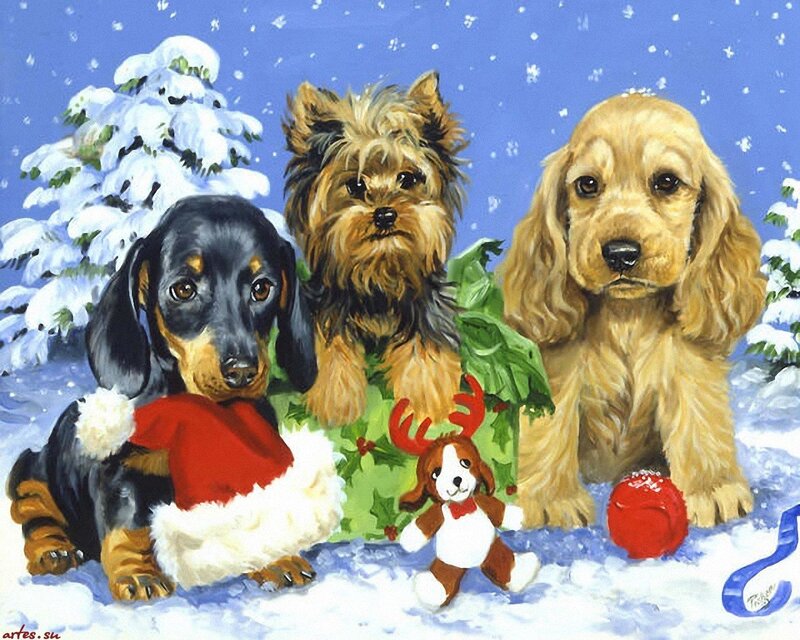 Three Puppies in Snow