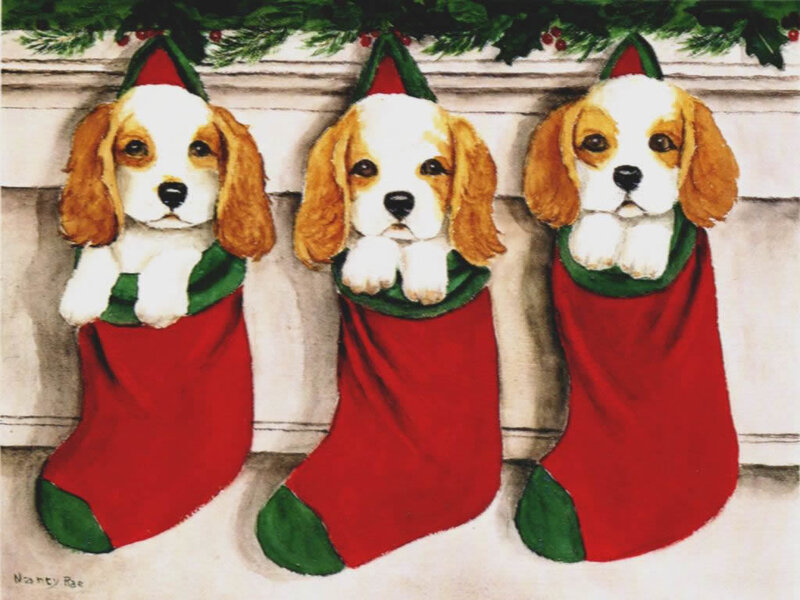 Three Puppies in Stockings