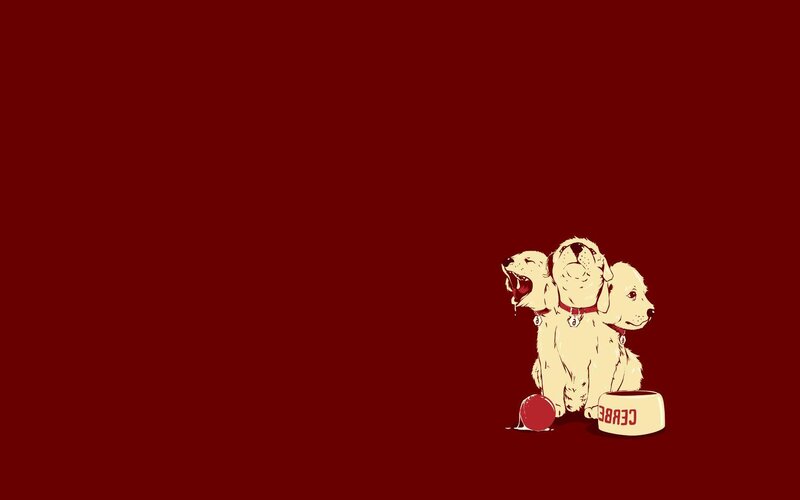 three puppies on red background