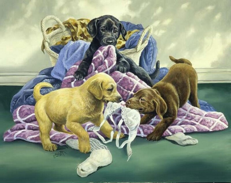 Three Puppies Playing — Purple