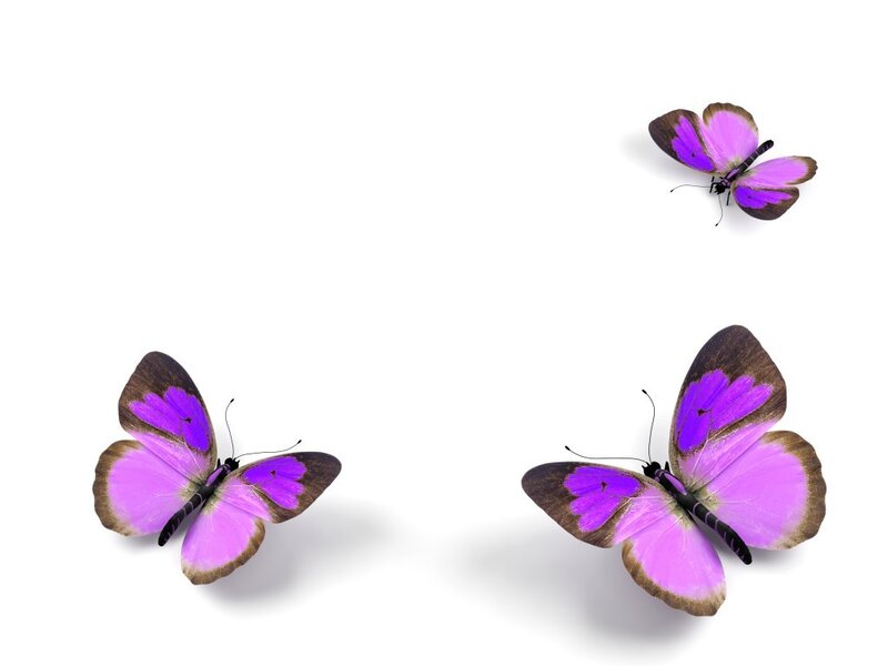 Three Purple Butterflies