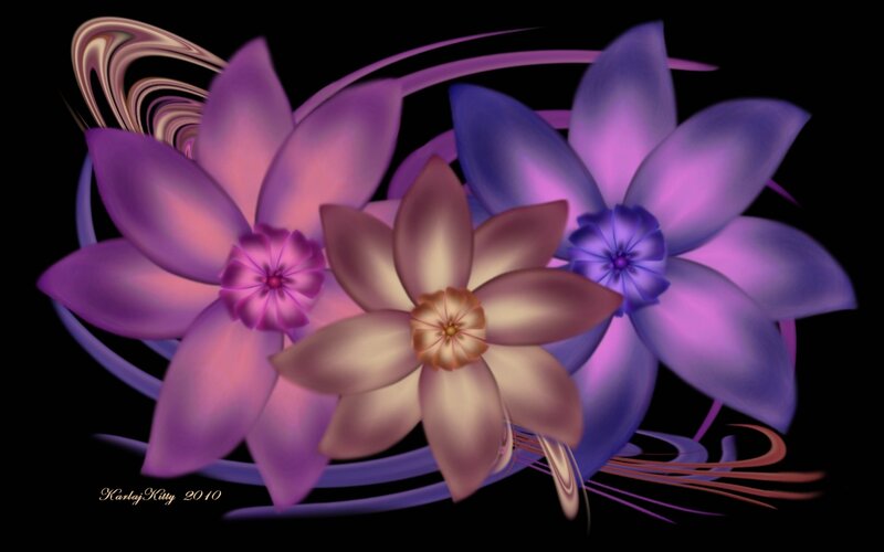 Three Purple Flowers — Dreamy