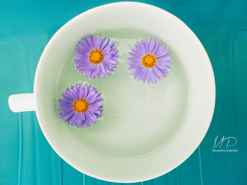 Three Purple Flowers in Cup