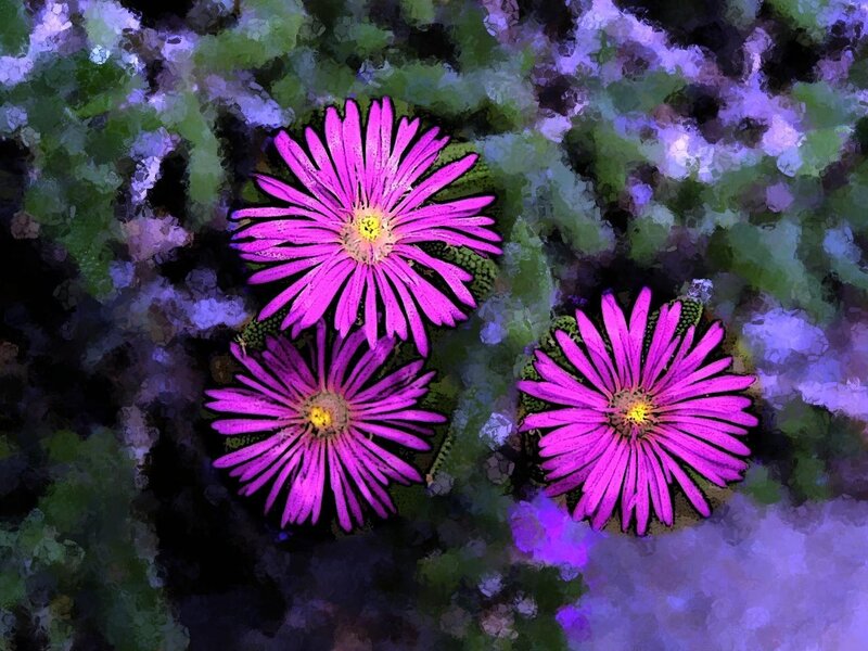 Three Purple Flowers — Vibrant, Digital Art, Green Leaves