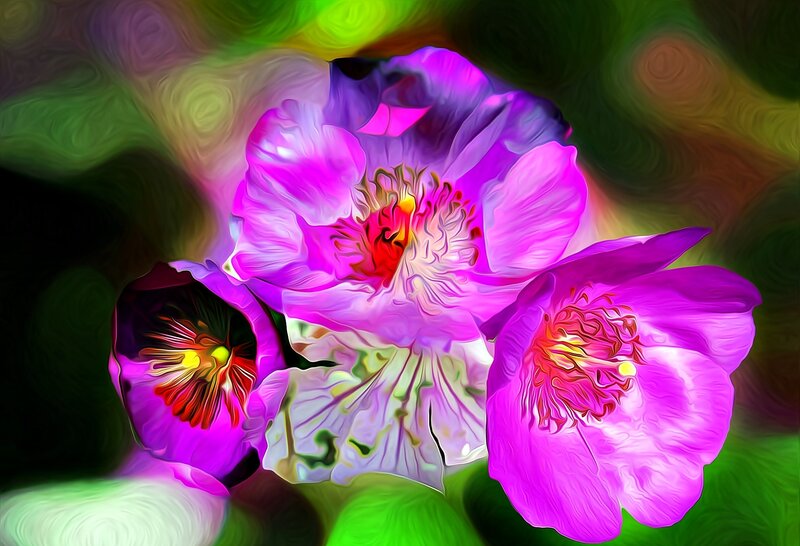 Three Purple Flowers — Vibrant