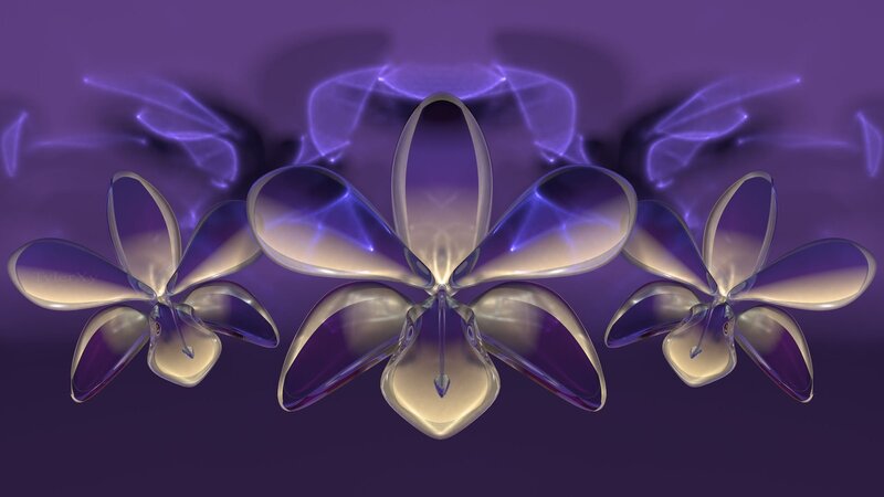Three Purple Orchid Flowers — Ethereal