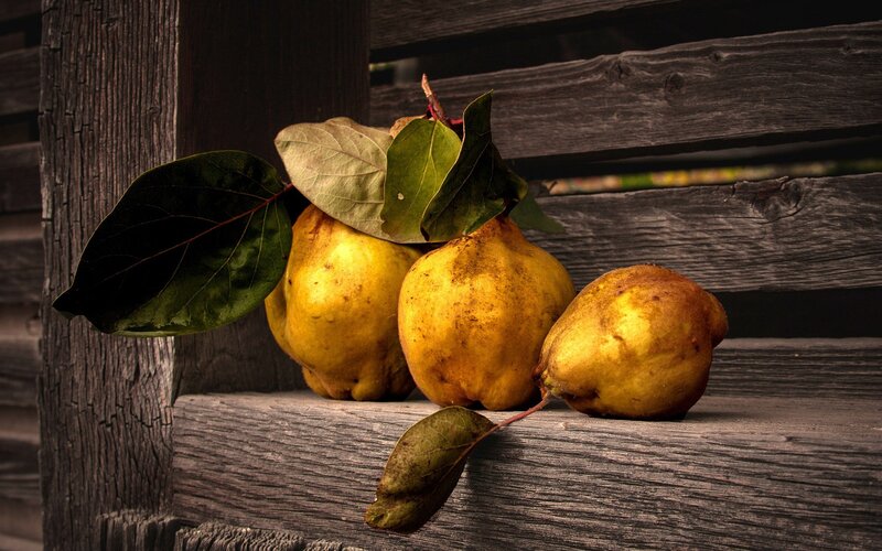 Three Quinces on Wood
