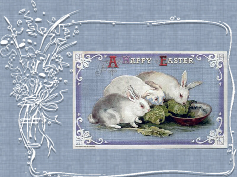Three Rabbits Eating