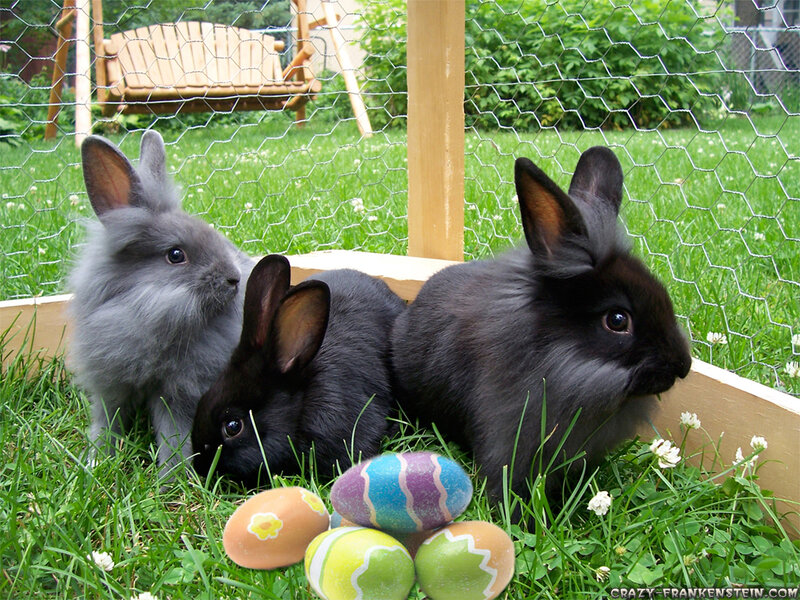 Three Rabbits in Grass — Green