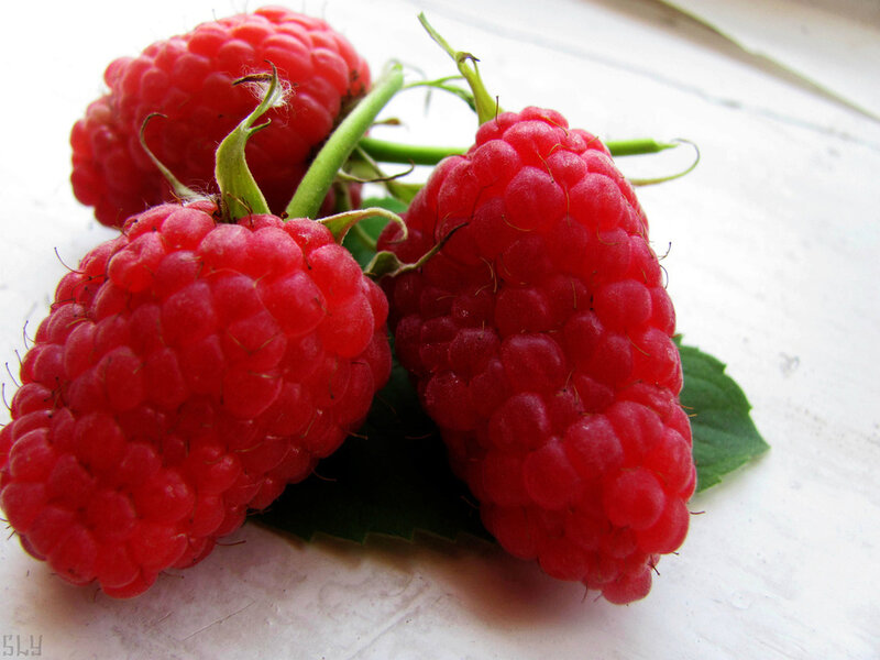 Three Raspberries on Leaf