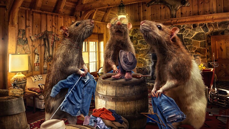 Three Rats in a Cabin — Brown