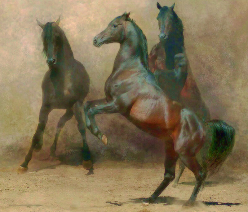three rearing horses